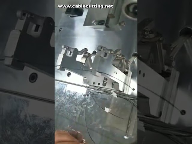 Wire Labeling Machine, Taping Car Sticker Machine, Cable Flag Folded Labeling Machine