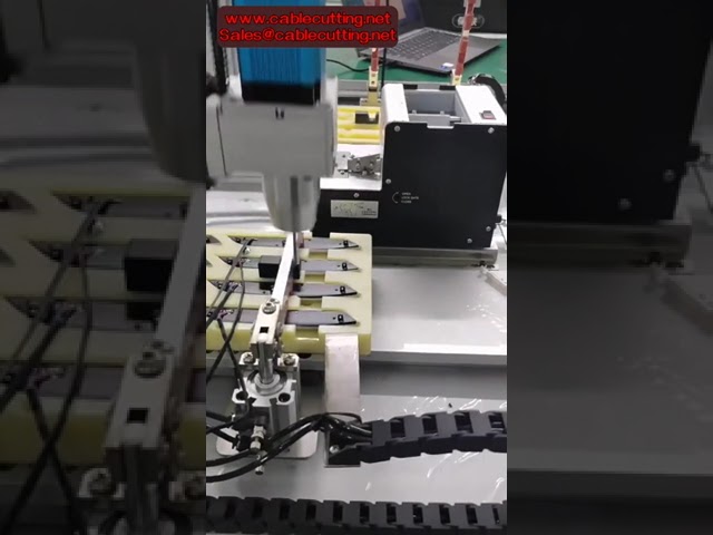 Kétállomásos, automatikus csavarozó robot szervo meghajtással és adagolórendszerrel – Precíz csavarhúzás gyárban