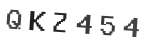 Verification Code Image